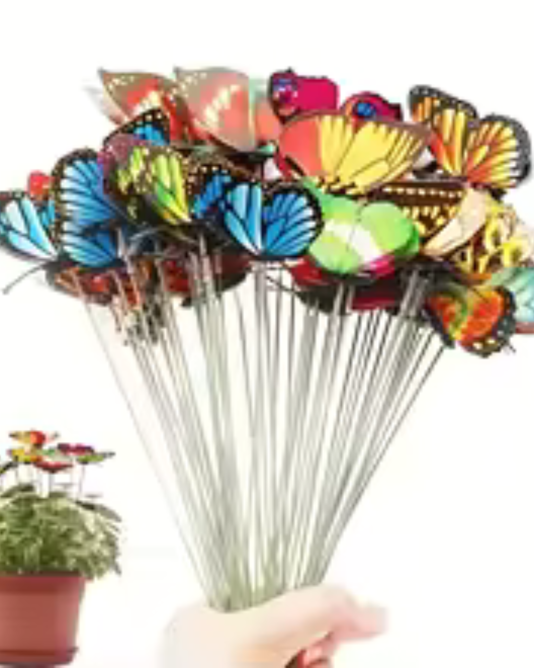Home, Garden & Furniture